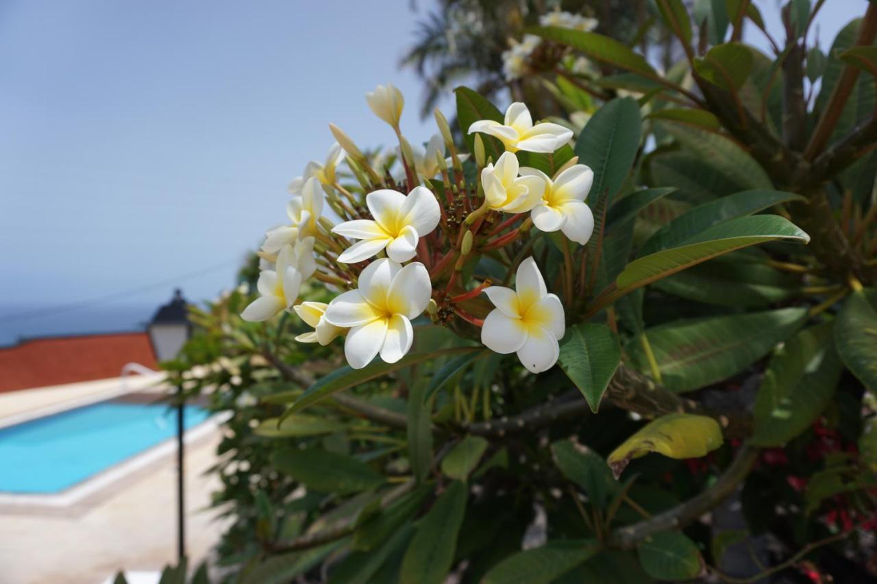 La Romera Apartment *